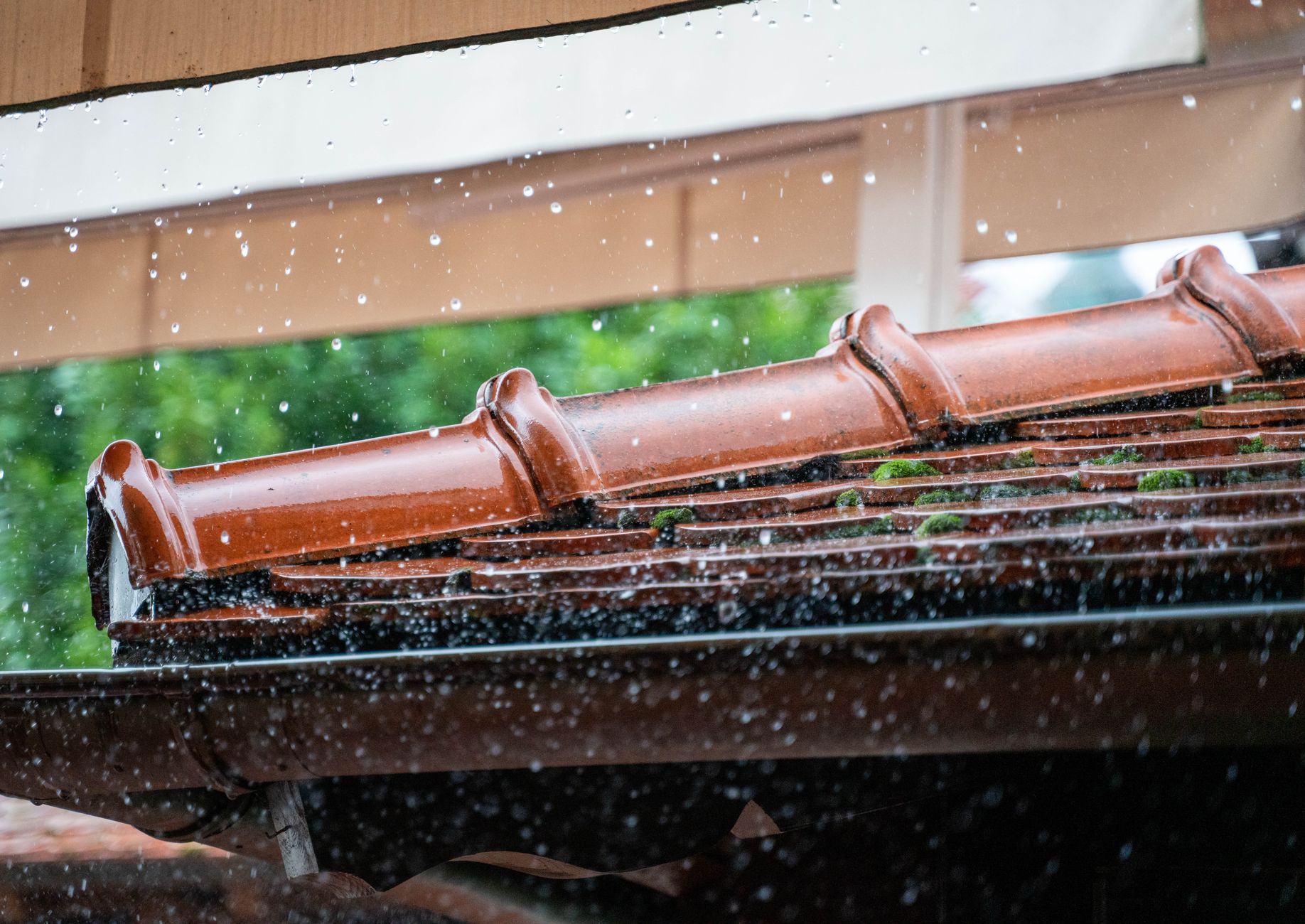 Storm Damage – Bulverde
